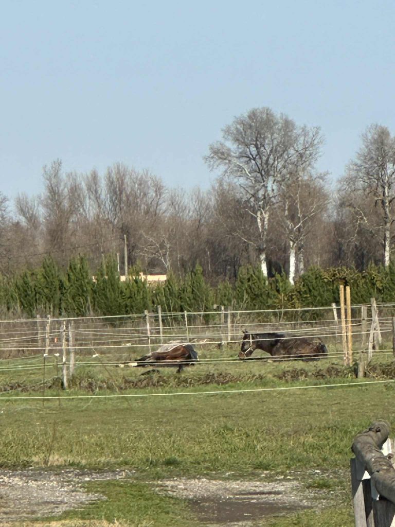 96c1fdc8-cb23-47be-ae4b-0c2e93aa8d15